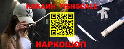 a pvp Бийск