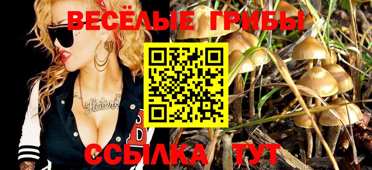 Галлюциногенные грибы Cubensis  Вход с VPN  Коломна  Галлюциногенные грибы ЛСД 